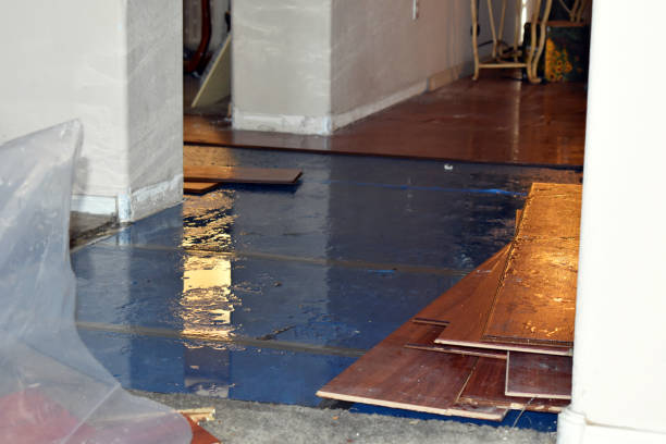 Professional Flood Damage Restoration technician working in Three Rivers, OR